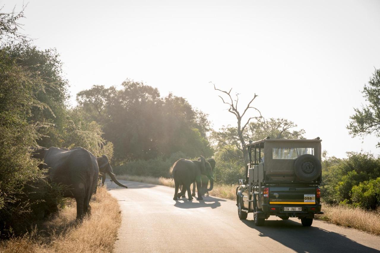 Nkuhlu Tented Camp Skukuza Luaran gambar