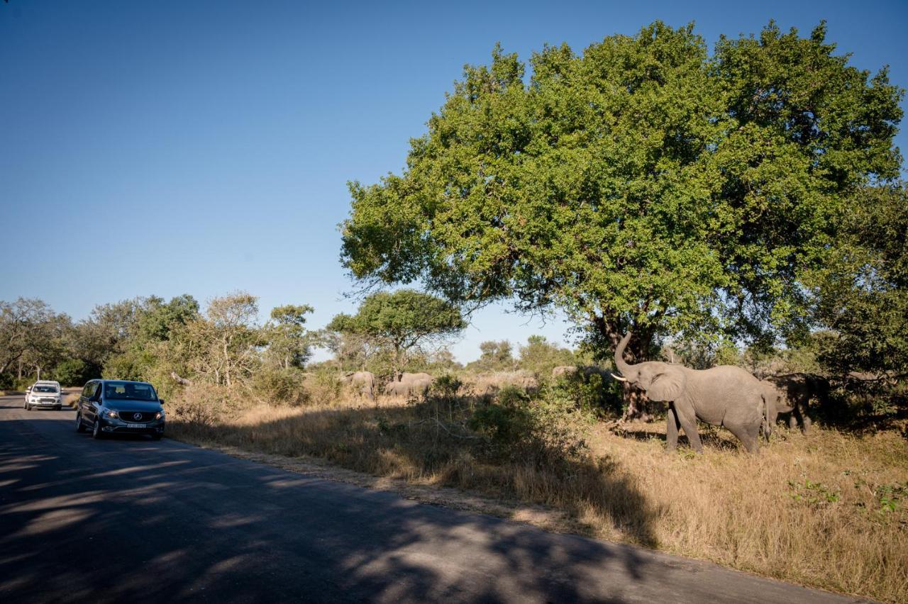 Nkuhlu Tented Camp Skukuza Luaran gambar