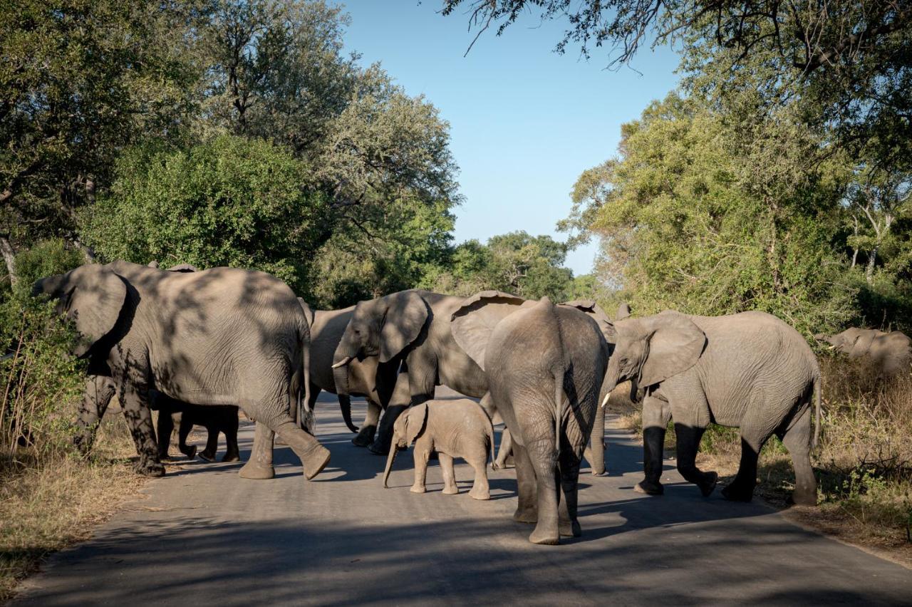 Nkuhlu Tented Camp Skukuza Luaran gambar