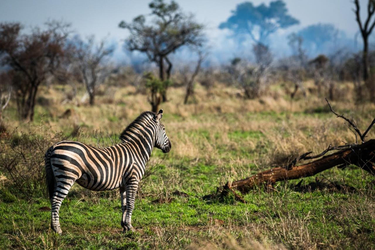 Nkuhlu Tented Camp Skukuza Luaran gambar