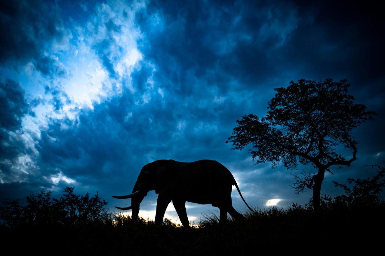 Nkuhlu Tented Camp Skukuza Luaran gambar