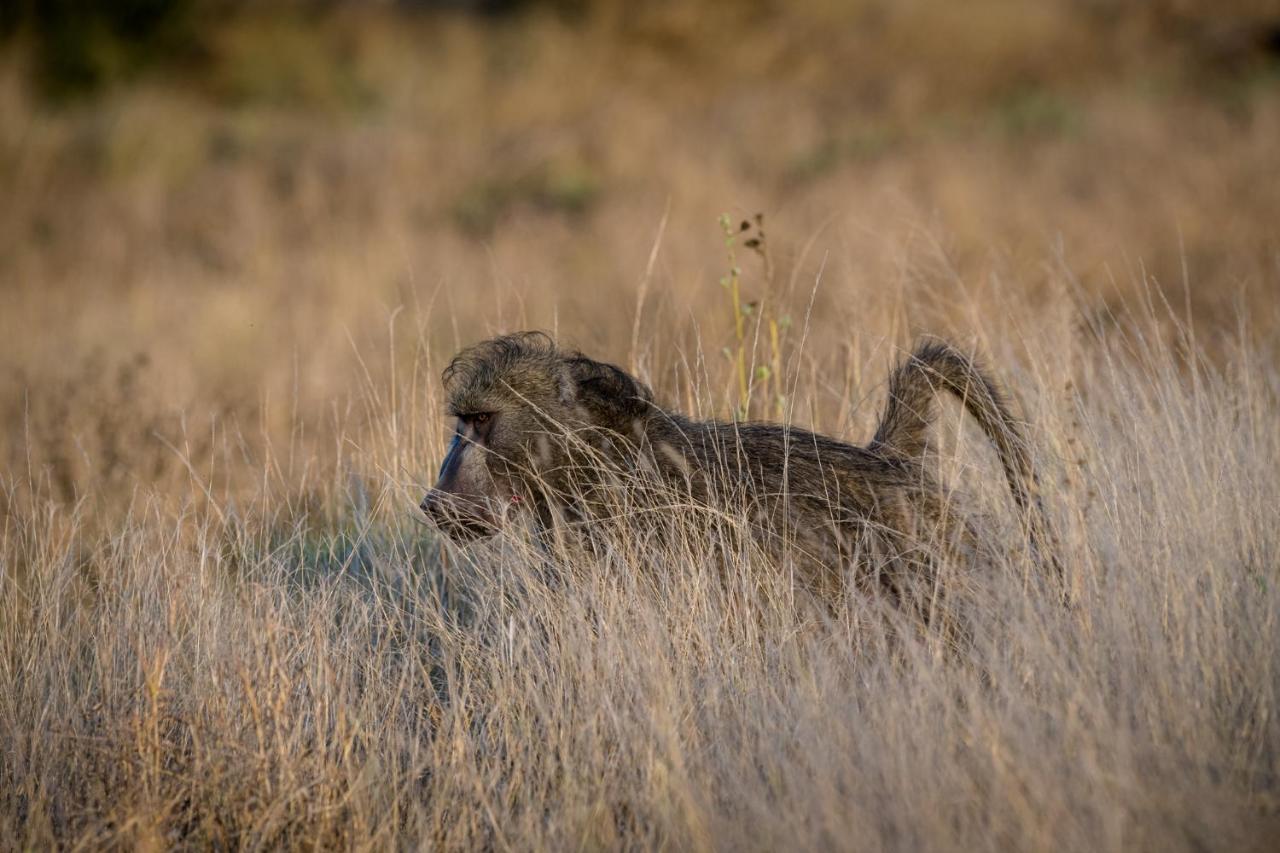 Nkuhlu Tented Camp Skukuza Luaran gambar