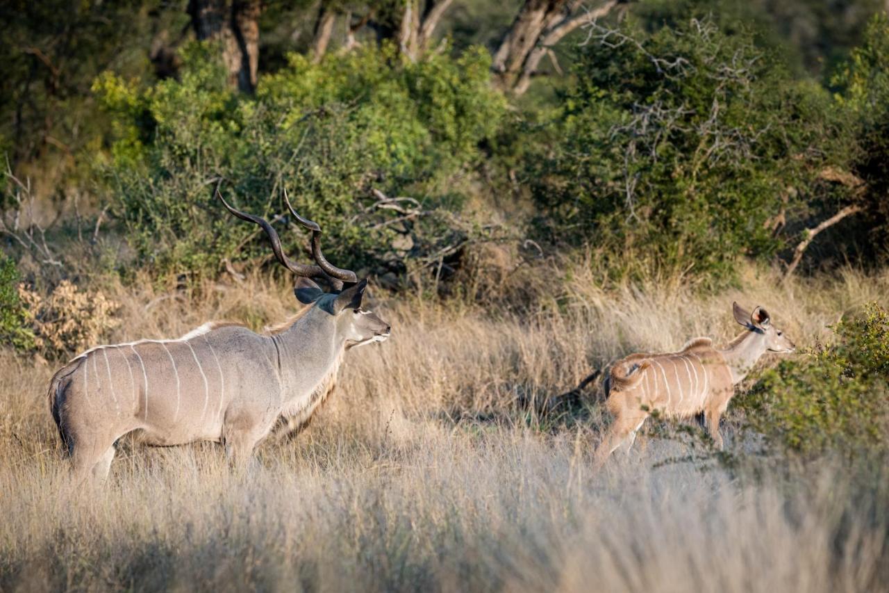 Nkuhlu Tented Camp Skukuza Luaran gambar
