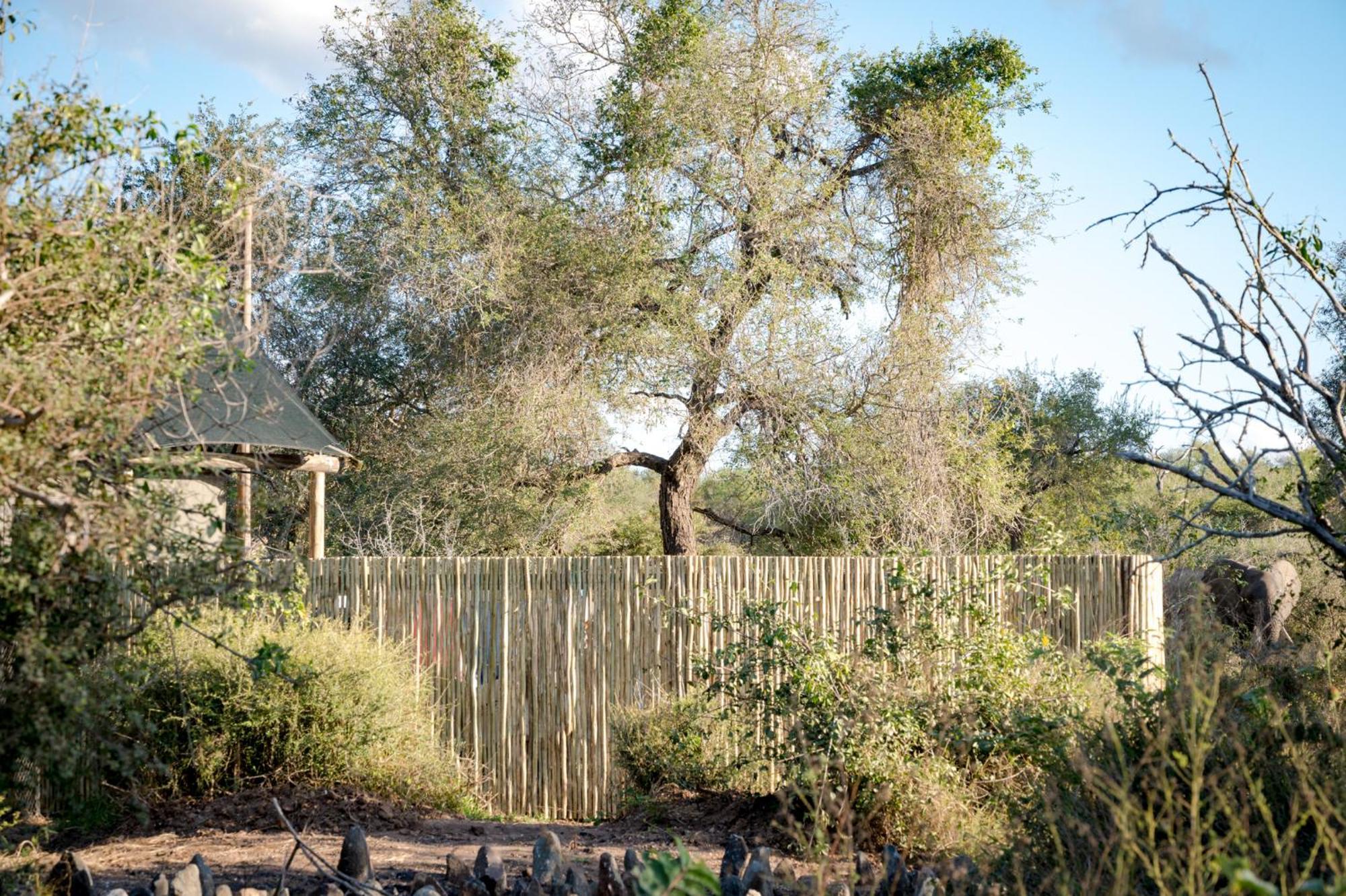 Nkuhlu Tented Camp Skukuza Luaran gambar