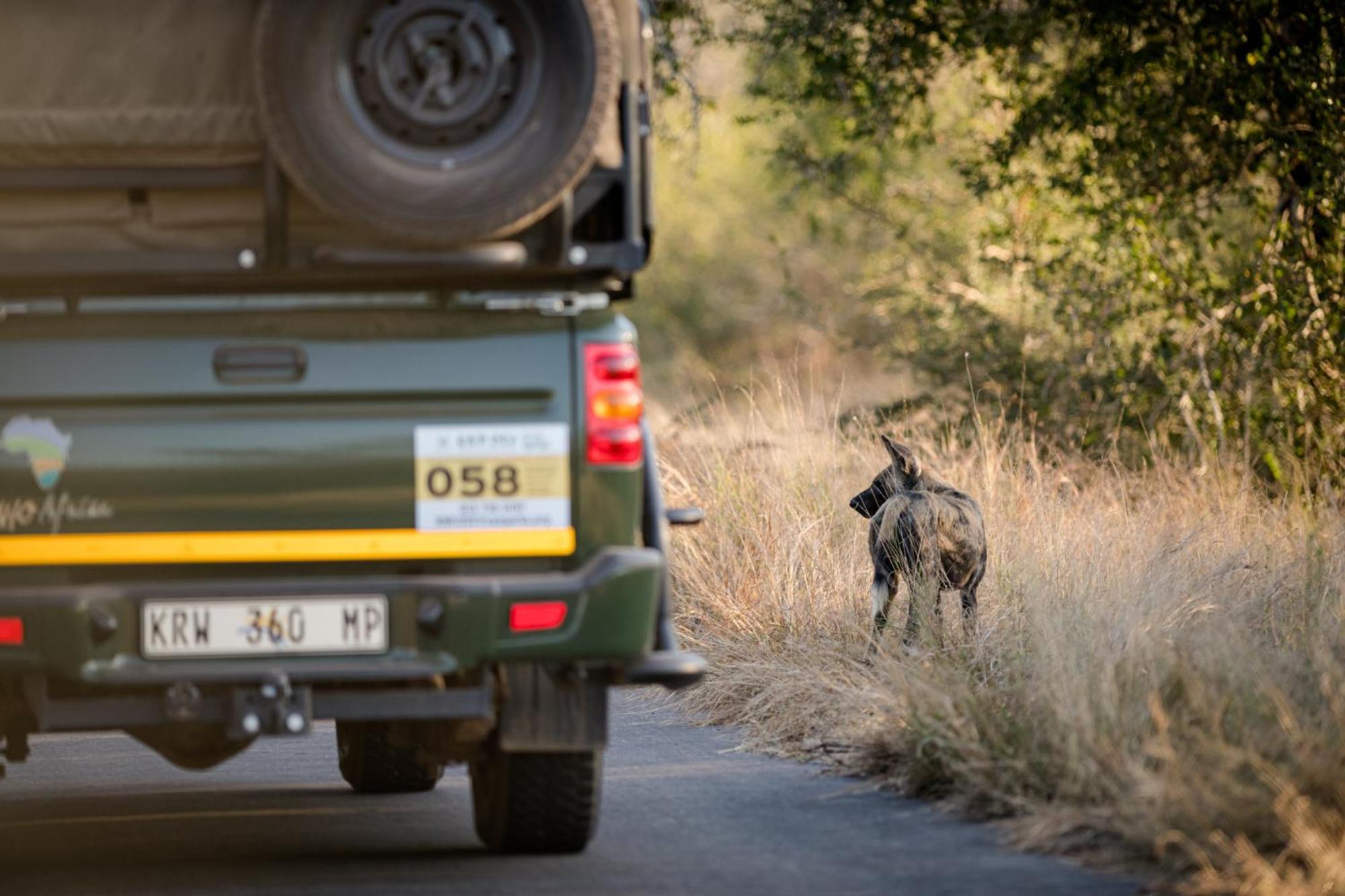 Nkuhlu Tented Camp Skukuza Luaran gambar